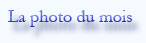 Cliquez sur les photos pour en voir un agrandissement